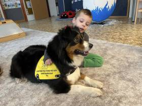 Australský ovčák canisterapie - Aussieland