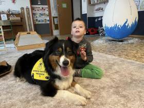 Australský ovčák canisterapie - Aussieland