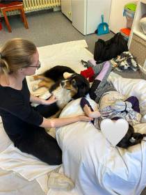 Australský ovčák canisterapie - Aussieland