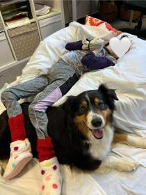 Australský ovčák canisterapie - Aussieland