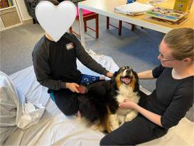 Australský ovčák canisterapie - Aussieland