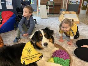 Australský ovčák canisterapie - Aussieland