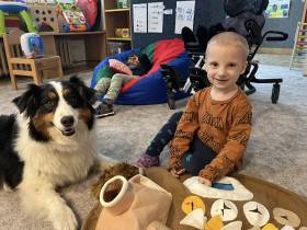 Australský ovčák canisterapie - Aussieland