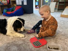 Australský ovčák canisterapie - Aussieland