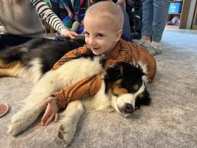 Australský ovčák canisterapie - Aussieland