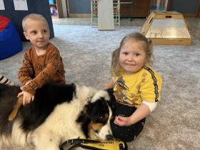 Australský ovčák canisterapie - Aussieland