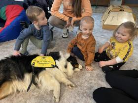 Australský ovčák canisterapie - Aussieland