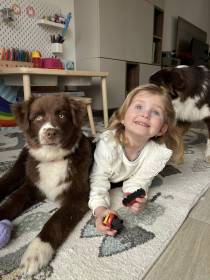 Australský ovčák - Aussieland