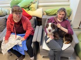 Miniaturní americký ovčák canisterapie - Aussieland