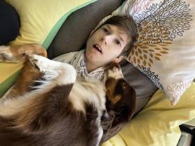 Miniaturní americký ovčák canisterapie - Aussieland