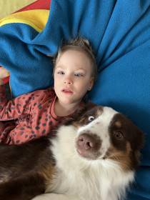 Miniaturní americký ovčák canisterapie - Aussieland