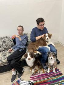 Miniaturní americký ovčák canisterapie - Aussieland