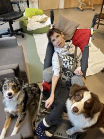 Miniaturní americký ovčák canisterapie - Aussieland