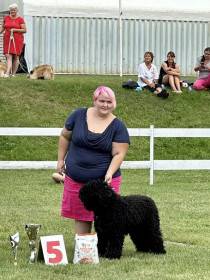 Uniklé Phebus de L’Oree des Sygned (Barbet)