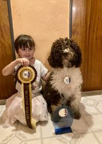 Señorita del Majaceite (Španělský vodní pes)