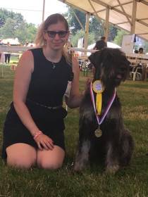 ZOTTELBART von HETZELDORF Ophelia (Knírač velký)