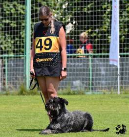 ZOTTELBART von HETZELDORF Ophelia (Knírač velký)