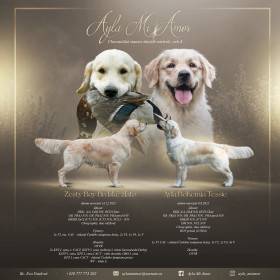 letáček vrhu A - narození štěňat 15.10.2024