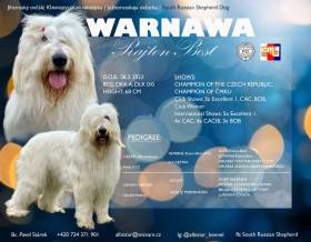 Warnawa Rajton-Bost (Jihoruský ovčák)