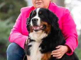 Fluffy Paradise Amžina Euforija (Bernský salašnický pes)