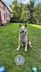 Hasenhirsch Katja (Keksy) (Ardenský bouvier)