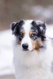 Wanilla Love from Tatras