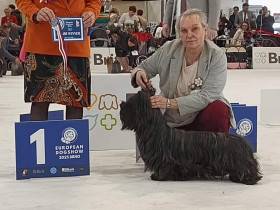 Juliet Sagasky Bohemia Čoko (Skajteriér)