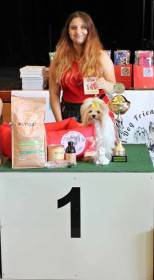 Inez Anabel Van Doorn Dogies (Barevný jorkšírský teriér)