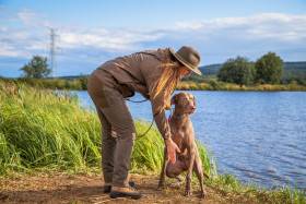 Fler Beauté D’Argento Suerte (Výmarský ohař)