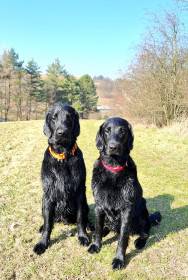 Bratr se sestrou - Fvrh