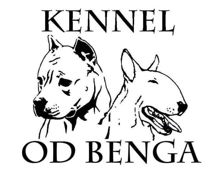 Od Benga