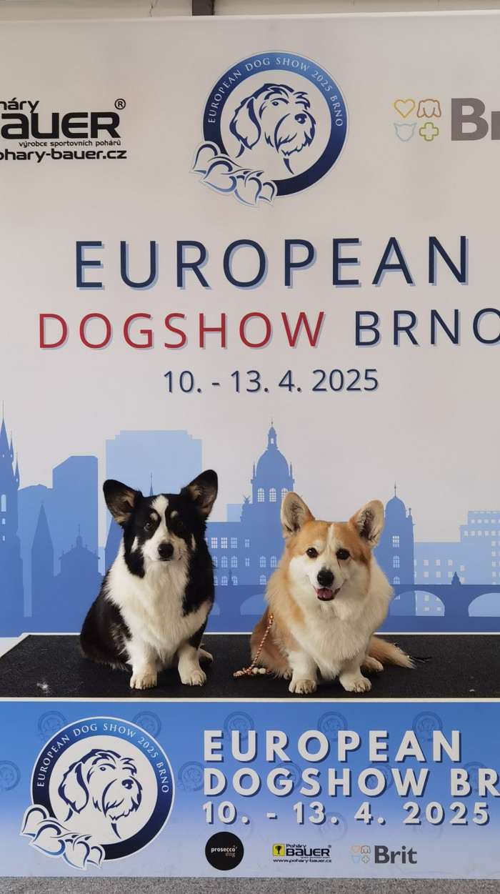 Bailey Ayur a Bajkal z Kání hory