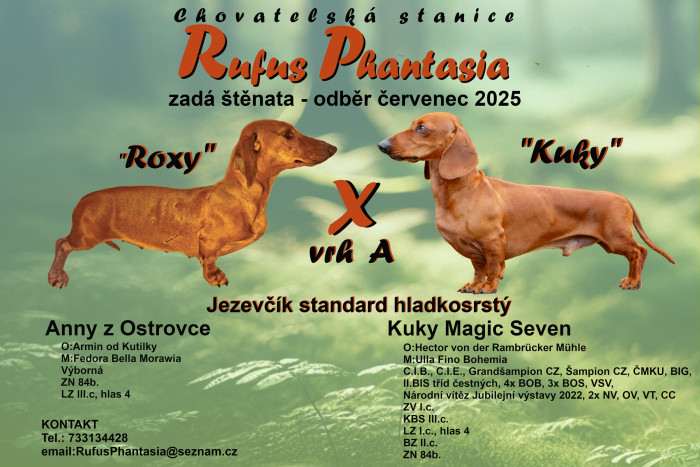 Rufus Phantasia