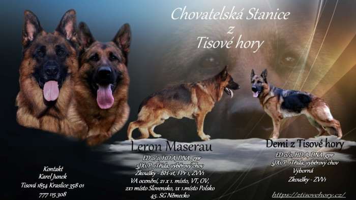 Z Tisové hory