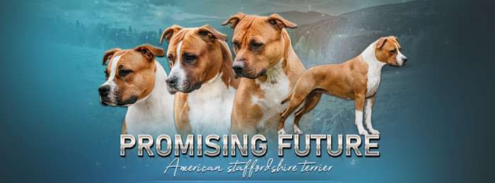 Promising future