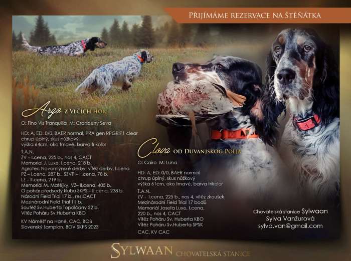 SylWaan