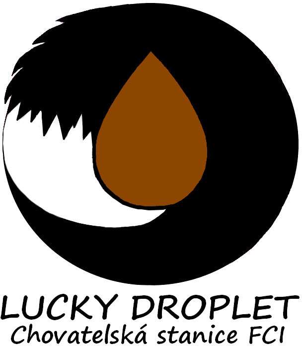 CHS Lucky Droplet