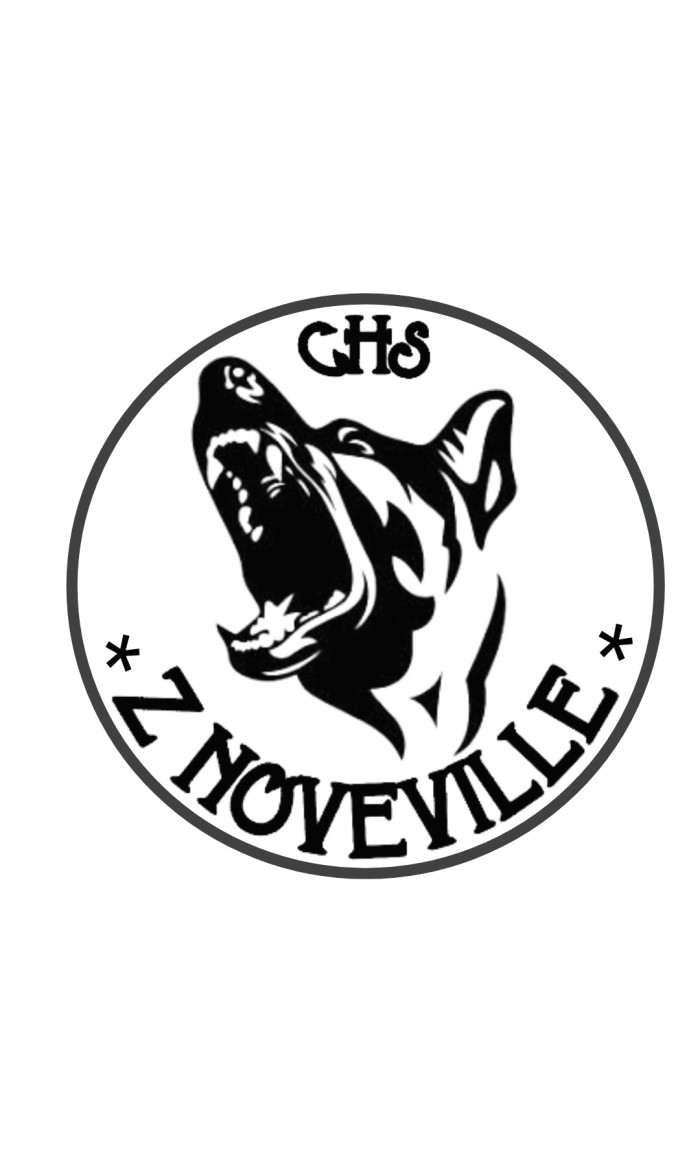 Z noveville