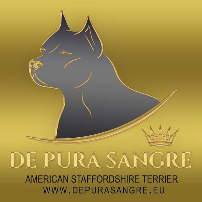 De pura sangre