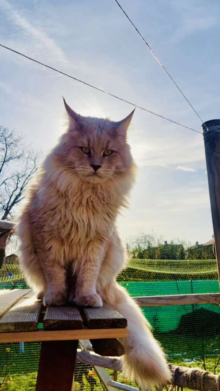 Charming Bella.cz