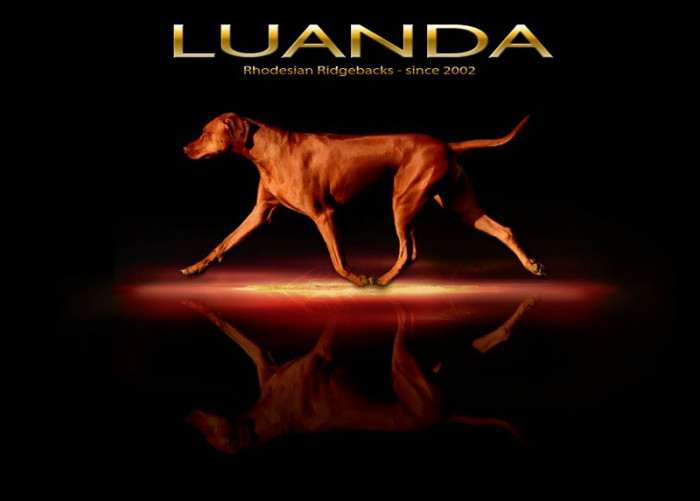 Luanda