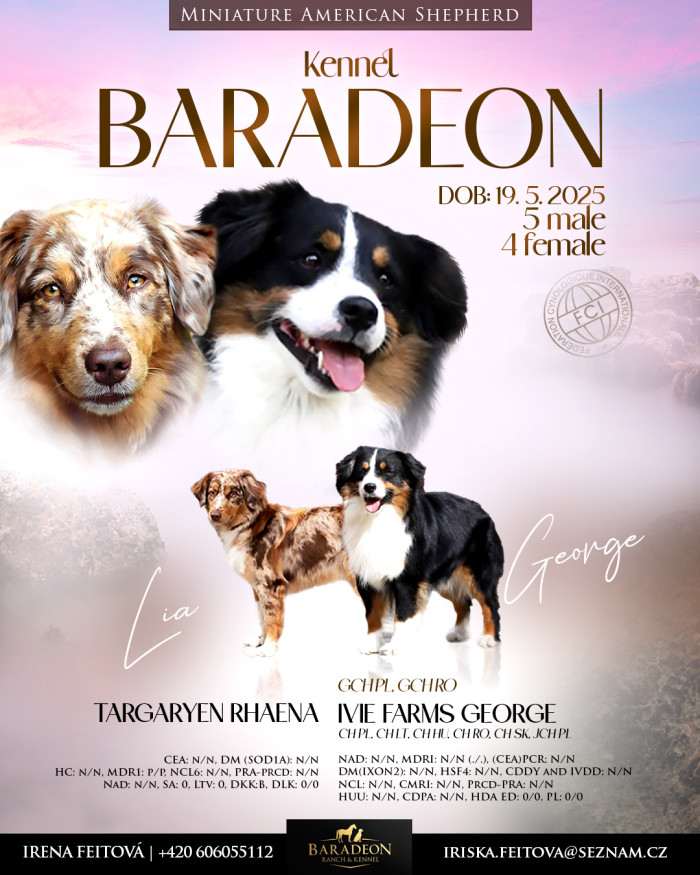 Baradeon