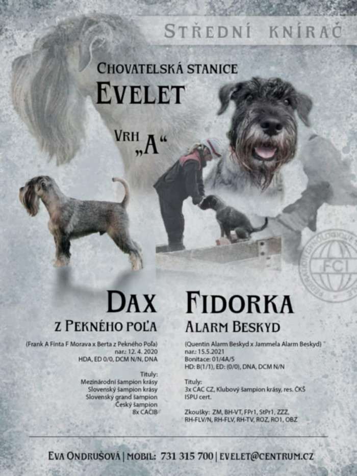 Evelet