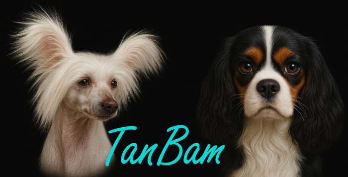TanBam