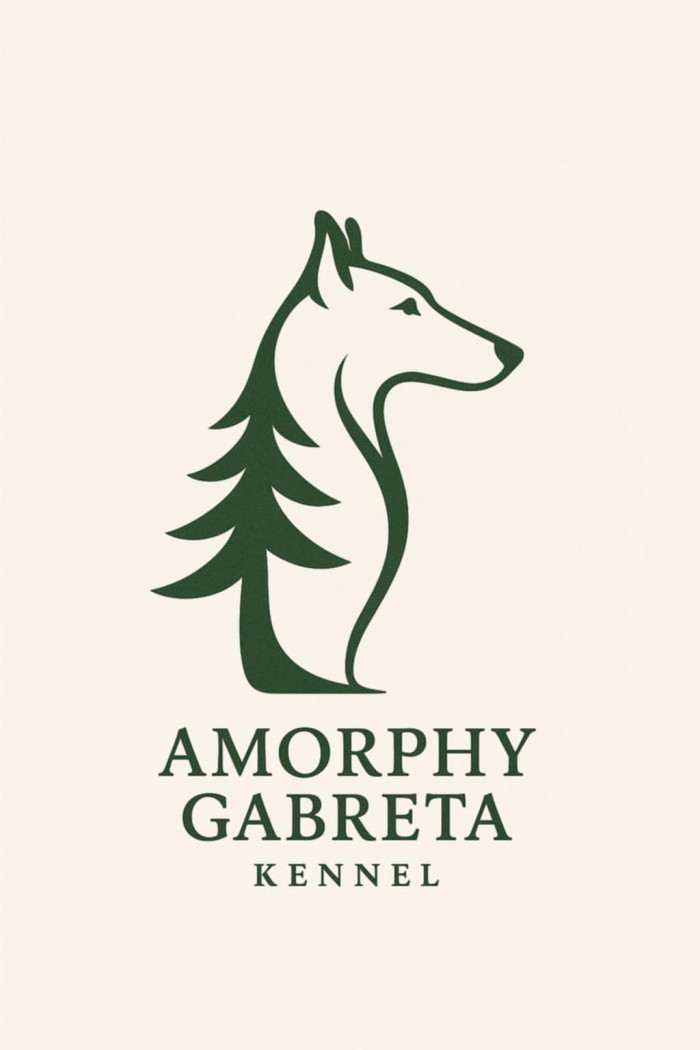Amorphy Gabreta
