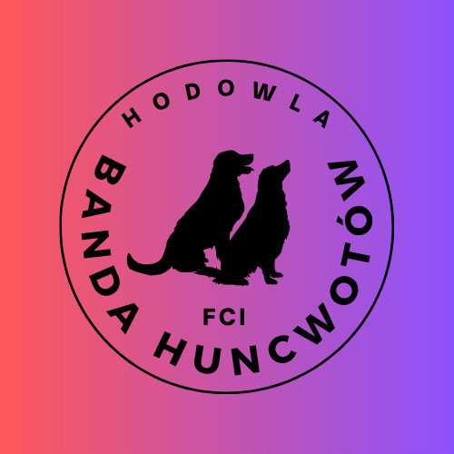 Banda Huncwotow FCI