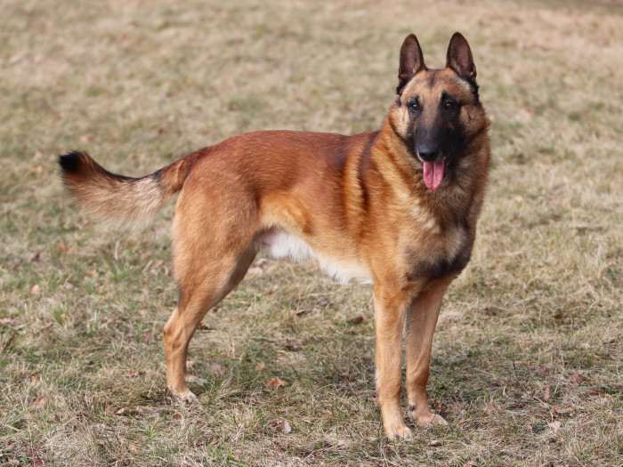 Urban van de Vaardekenshoeve