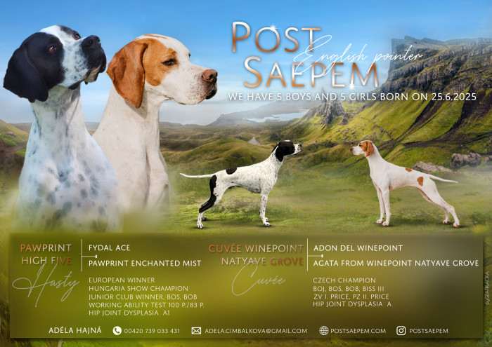 Postsaepem