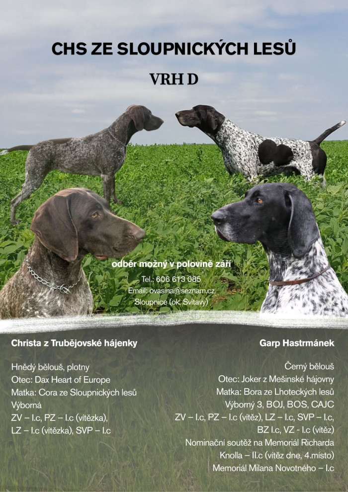 Vrh D