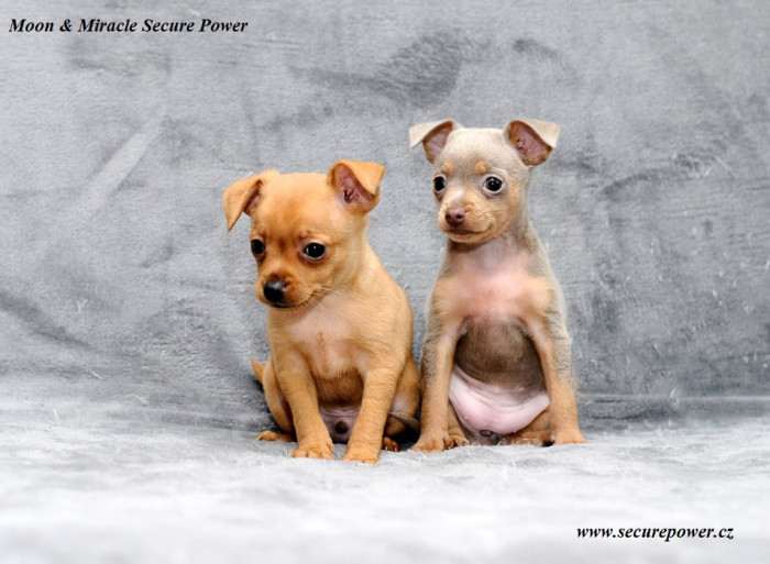 Secure Power
